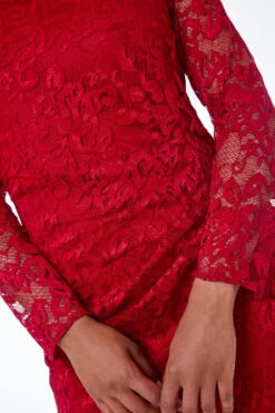 Red Petite Side Ruched Lace Dress -Dress Haven Sales Store aa287266 91ab 4b6a a79e 092658f0b160